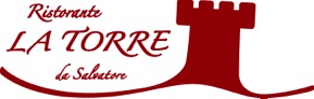 13_0302_salvatore_Logo